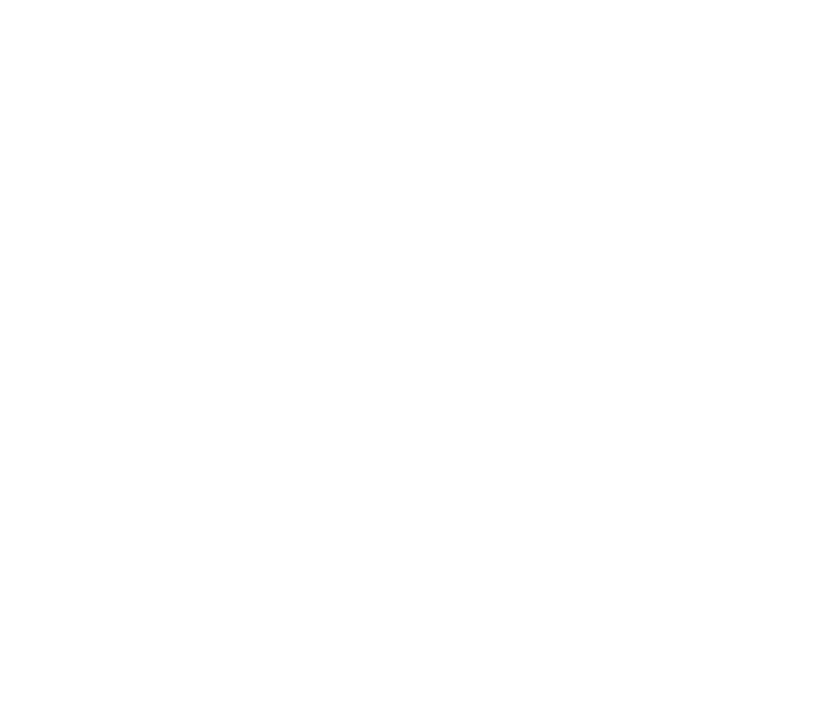 banner-shape2
