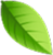 shape1