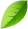 footer shape