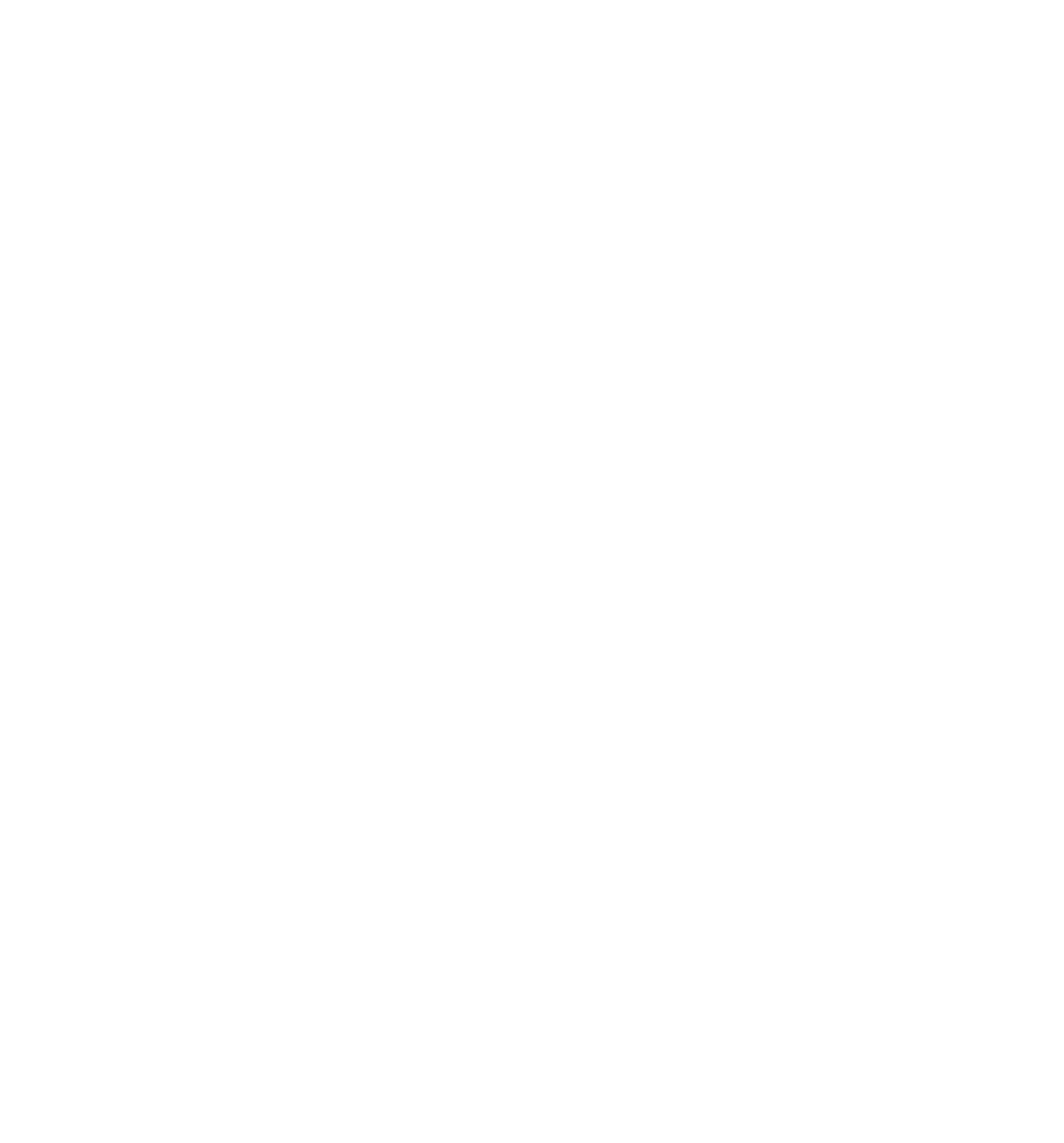 banner-shape2